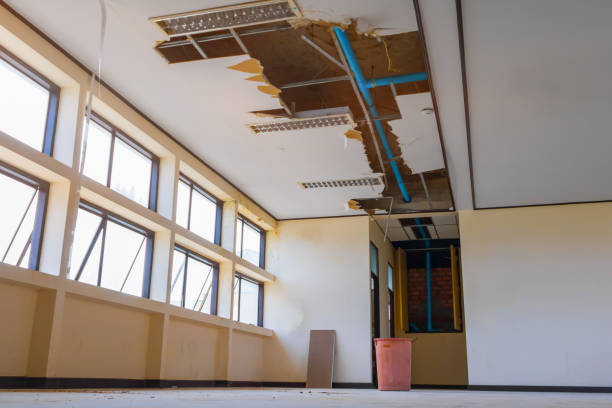 Best Water damage contractors near me  in Aiea, HI