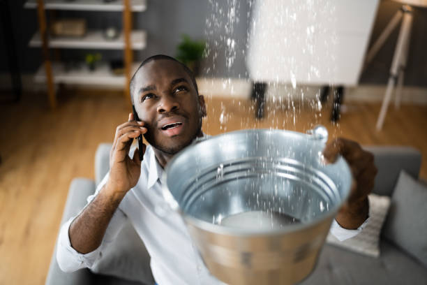 Best Ceiling water damage repair  in Aiea, HI