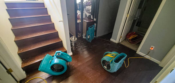 Best Water damage contractors near me  in Aiea, HI