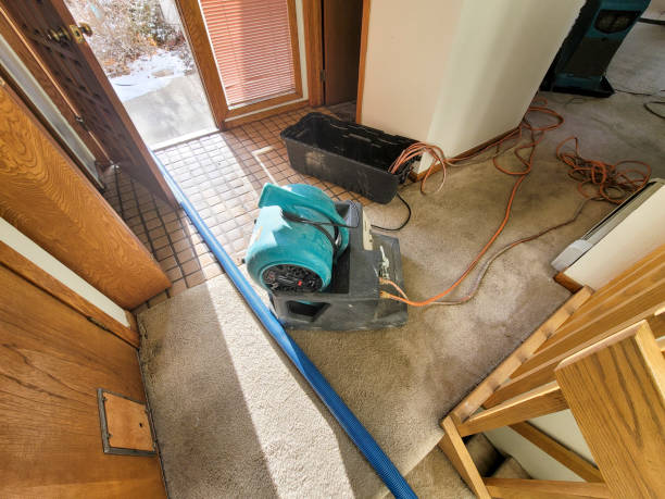 , HI Water damage restoration Company