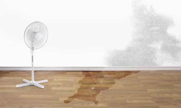  Aiea, HI Water damage restoration Pros