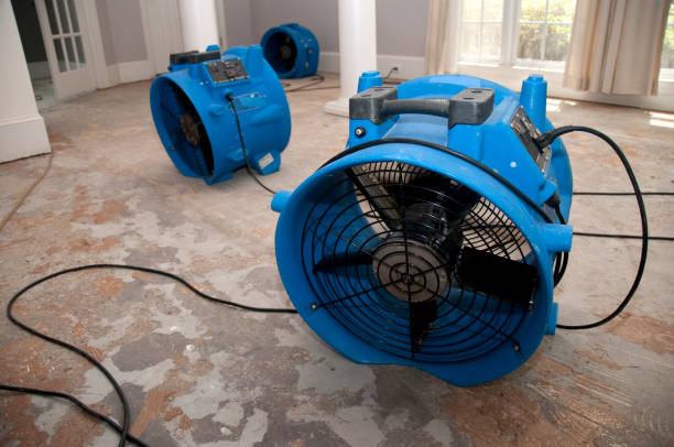Best Flood damage cleanup  in Aiea, HI