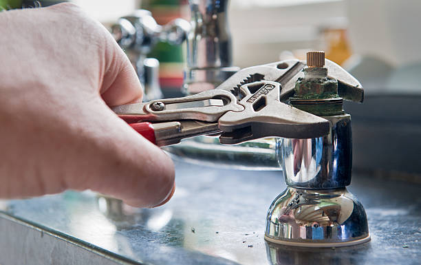 Best Professional water damage repair  in Aiea, HI