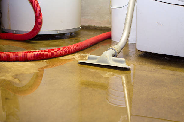 Best Residential water damage restoration  in Aiea, HI