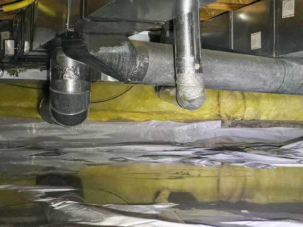 Best 24-hour water damage restoration  in Aiea, HI