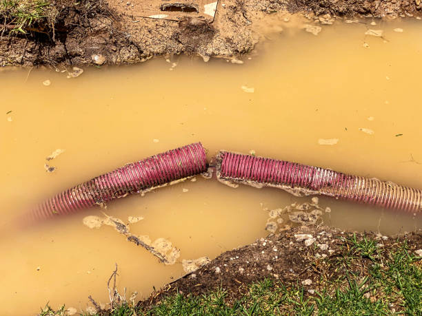 Best Water damage restoration near me  in Aiea, HI