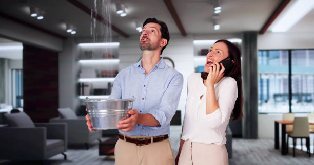 Best Water damage contractors near me  in Aiea, HI