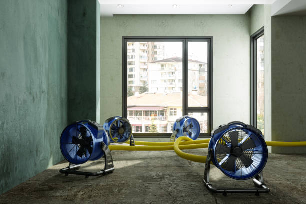 Carpet water damage restoration in HI
